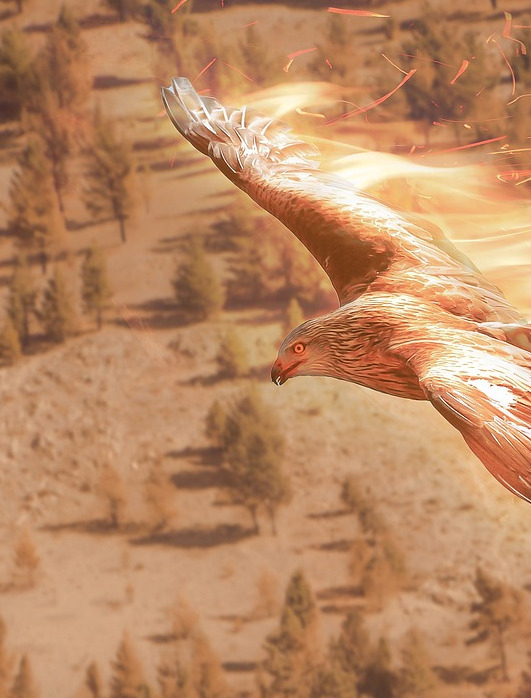 phoenix fire wings vibrant